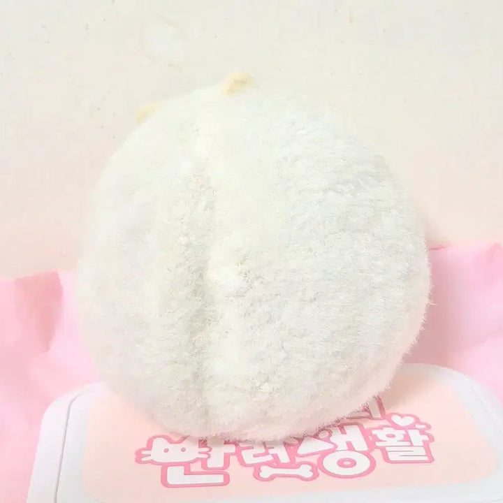 [BUNJANG] Vintage White Ivory Cat Plush Doll / 고전 빈티지 화이트 아이보리 고양이 인형