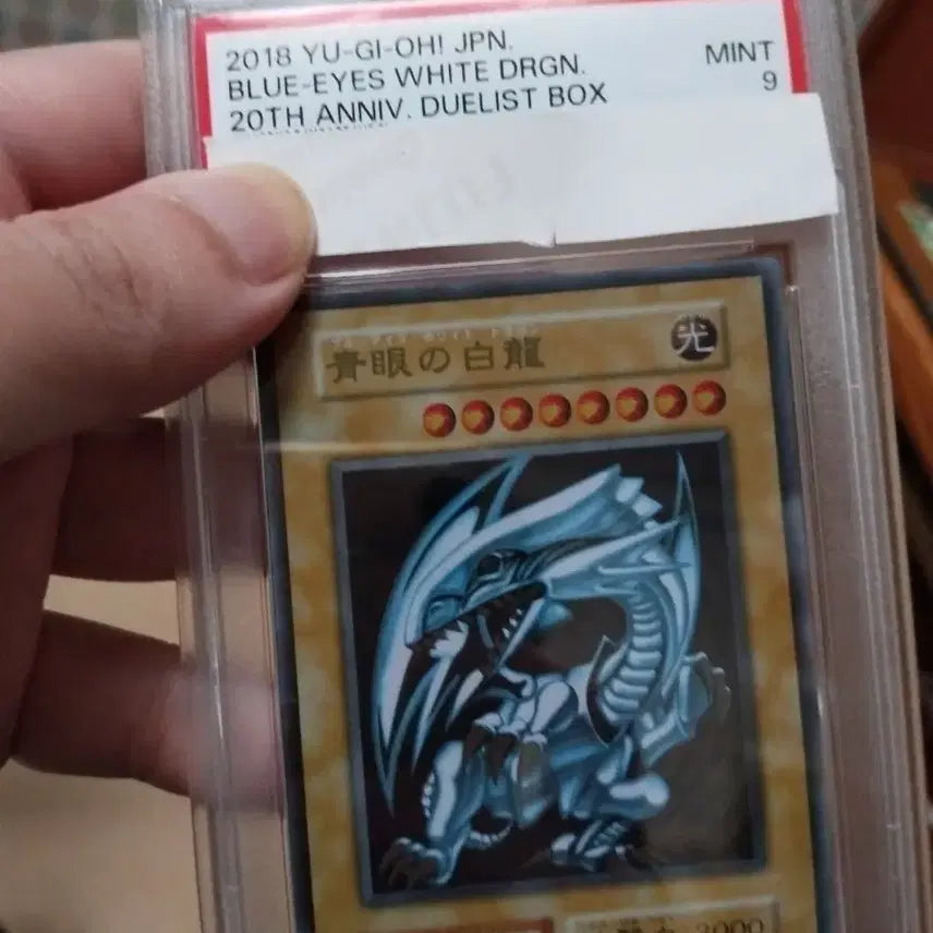 [BUNJANG] Yu-Gi-Oh! Blue-Eyes White Dragon Stainless Steel Card PSA 9 / 유희왕 푸른눈의백룡 스테인리스 카드 PSA 9