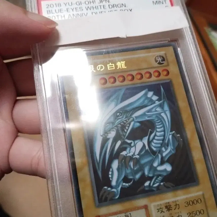 [BUNJANG] Yu-Gi-Oh! Blue-Eyes White Dragon Stainless Steel Card PSA 9 / 유희왕 푸른눈의백룡 스테인리스 카드 PSA 9