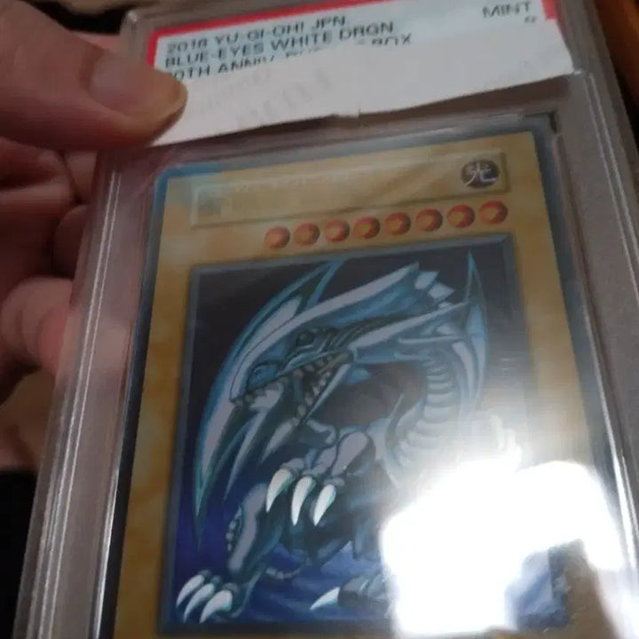 [BUNJANG] Yu-Gi-Oh! Blue-Eyes White Dragon Stainless Steel Card PSA 9 / 유희왕 푸른눈의백룡 스테인리스 카드 PSA 9