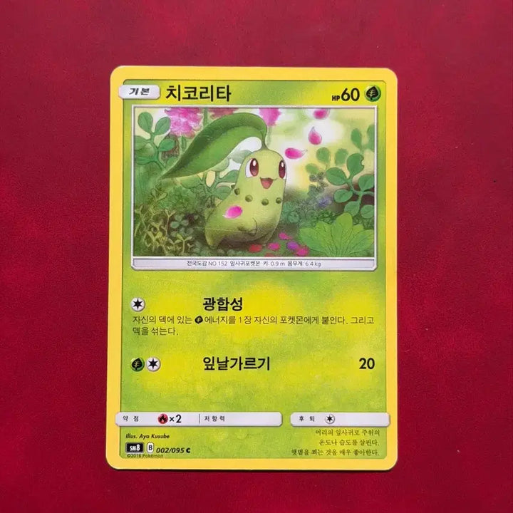 [BUNJANG] Pokemon Chikorita 002/095 C / 귀여운 포켓몬 고대 카드 치코리타 002/095 C