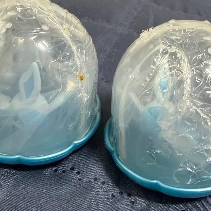 [BUNJANG] Pokemon Winter Series Glaceon Gacha Figure / 글레이시아 가챠