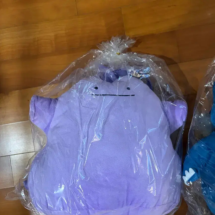 [BUNJANG] Pokemon Korea 30th Anniversary Sports Day Backpack Full Set / 포켓몬코리아 30주년 기념 스포츠데이 백팩(가방, 배낭) 한정판 풀세트