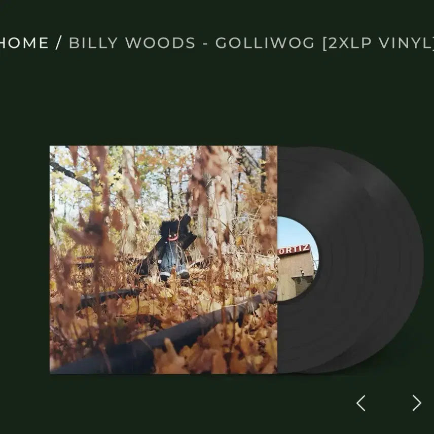[BUNJANG] Billy Woods &amp; Haram GOLLIWOG/Haram 2LP Vinyl Bundle / Billy Woods 빌리 우즈 GOLLIWOG, Haram 바이닐