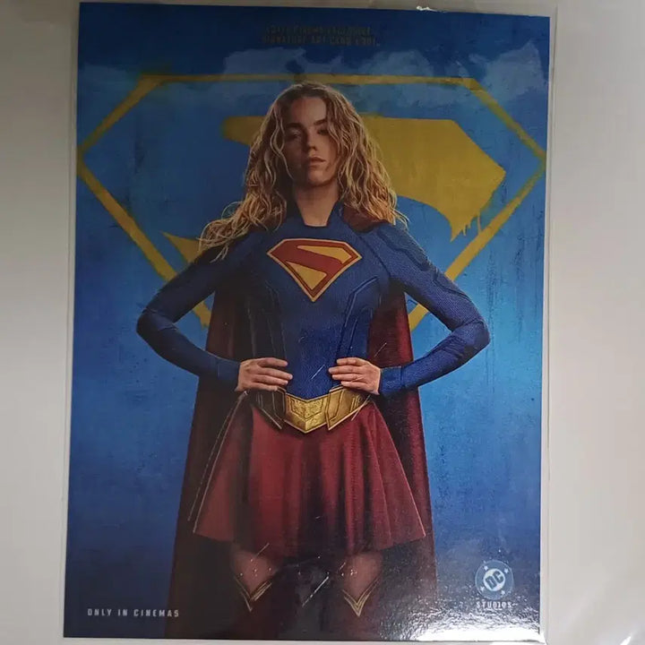 [BUNJANG] Supergirl Merchandise T-Shirt Eco Bag Pop Mart Keychain Cup / 슈퍼걸 굿즈 티셔츠 에코백 팝마트  키링 컵  택배비포함