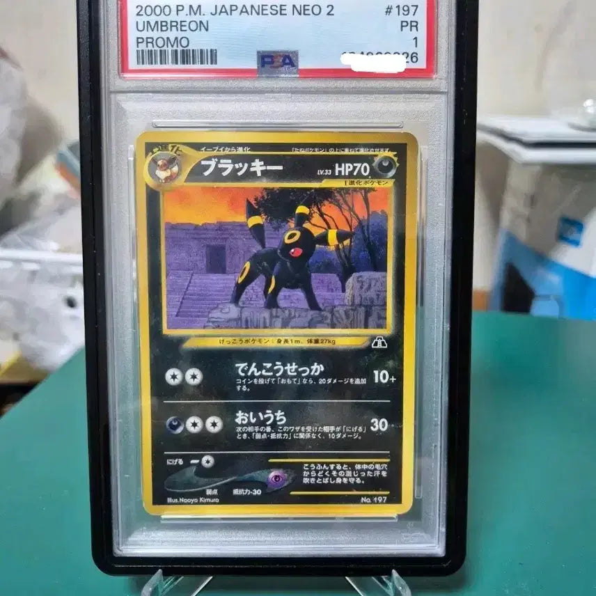 [BUNJANG] Blacky 2000 Promo PSA 1 Japanese Pokemon Card Graded Card / 블래키 2000년 프로모 PSA1 일판 포켓몬카드 등급카드 등카