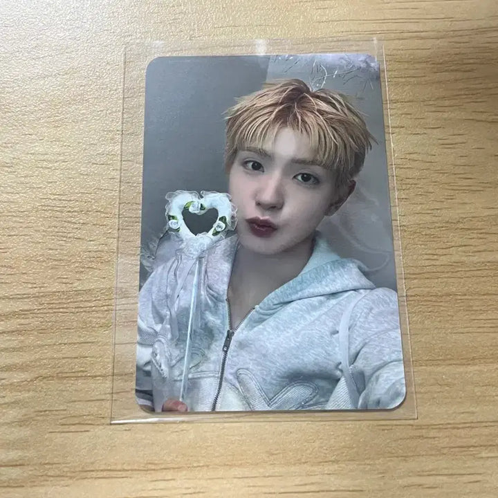 [BUNJANG] NEXZ Yuki Angel Photocard / 넥스지 유키 천사 포카