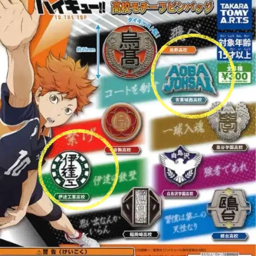 [BUNJANG] Haikyu!! Aoba Johsai &amp; Date Tech High Set Badges / 하이큐 뱃지 가챠 아오바조사이 다테공고 일괄