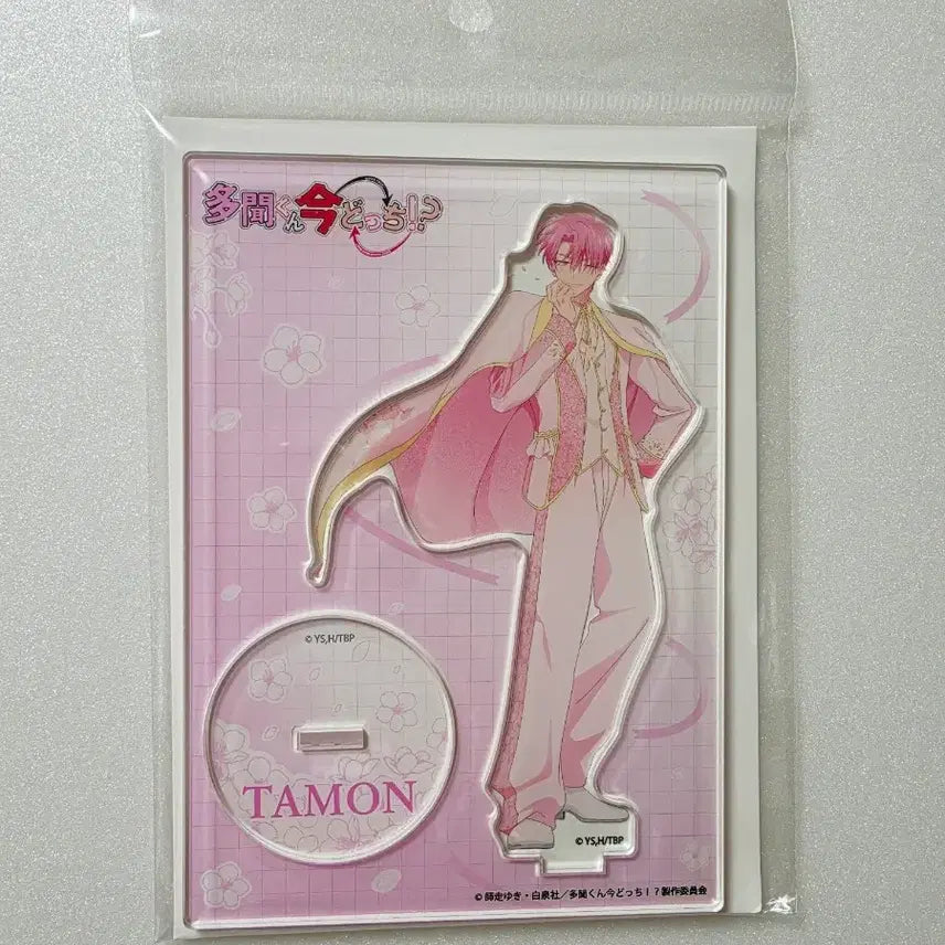 [BUNJANG] Tamon-kun Acrylic Stand (Don Quijote Ver.) - Sealed / 타몬군 아크릴스탠드 미개봉 이케하라 돈키호테