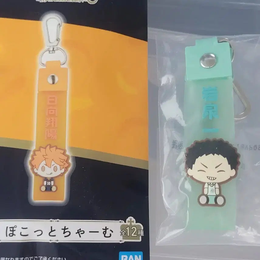 [BUNJANG] Haikyu!! Hajime Iwaizumi Keychain / 하이큐 이와이즈미 하지메 키링