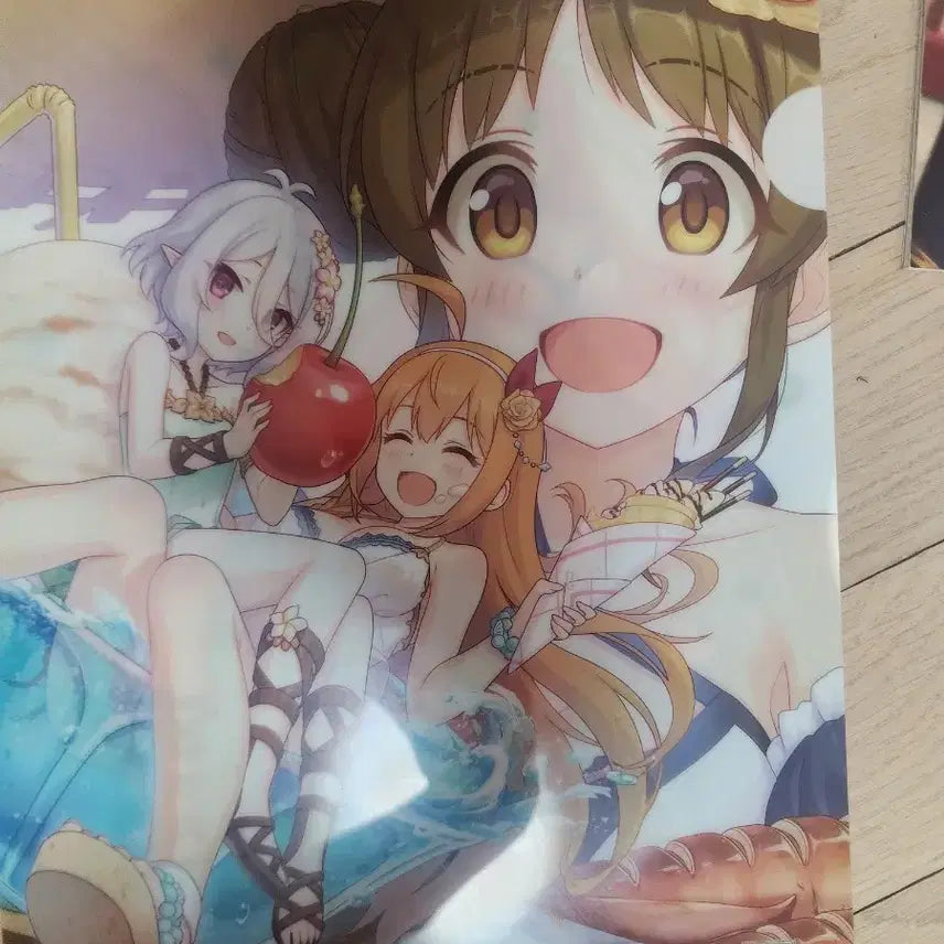 [BUNJANG] Princess Connect! Re: Dive Clear File / 프리코네 리다이브 클리어파일