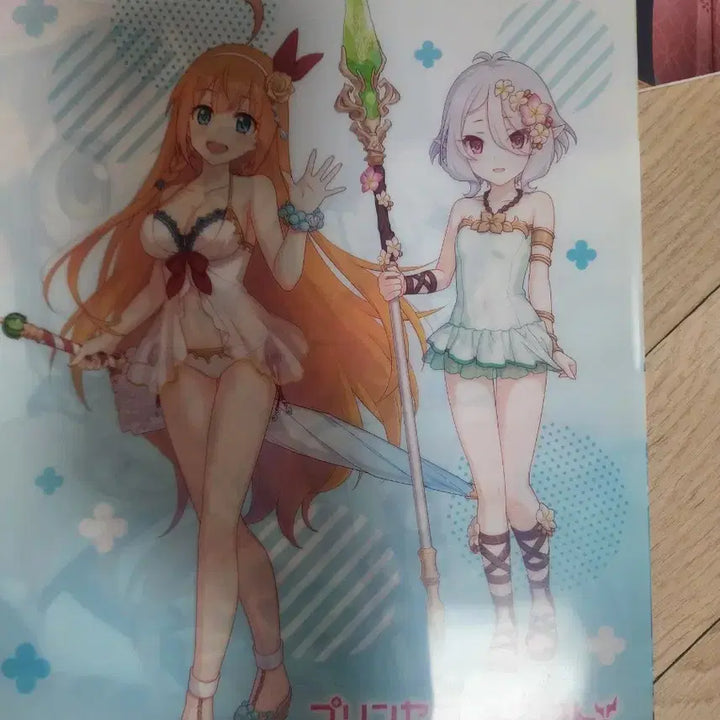 [BUNJANG] Princess Connect! Re: Dive Clear File / 프리코네 리다이브 클리어파일