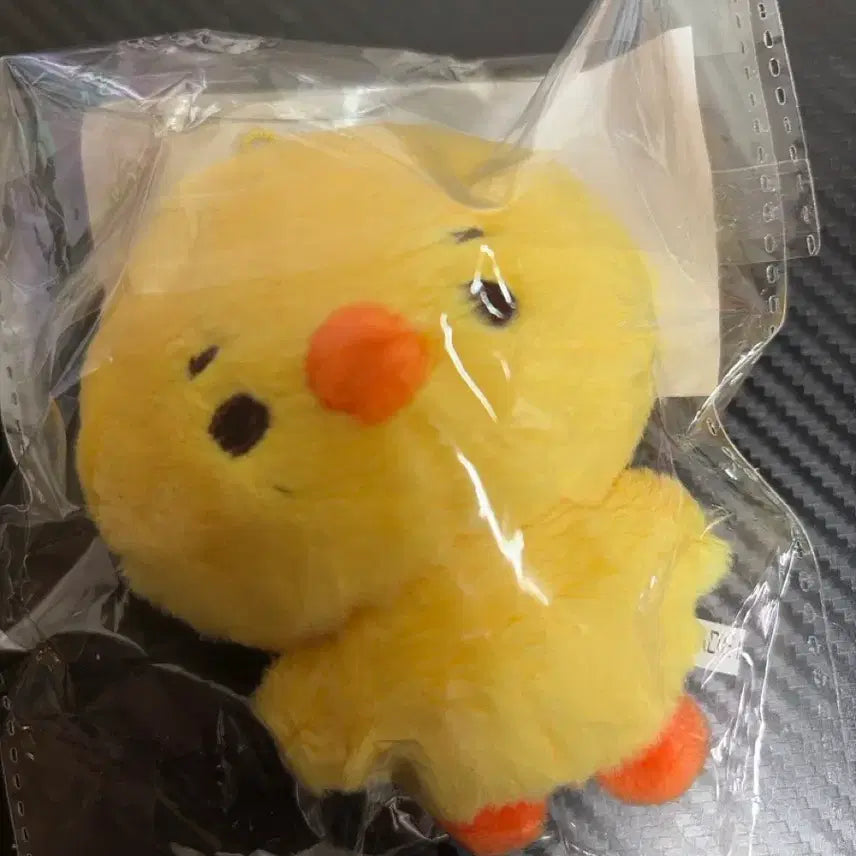 [BUNJANG] Joohoon Doll / 코르티스 주훈 인형 판매