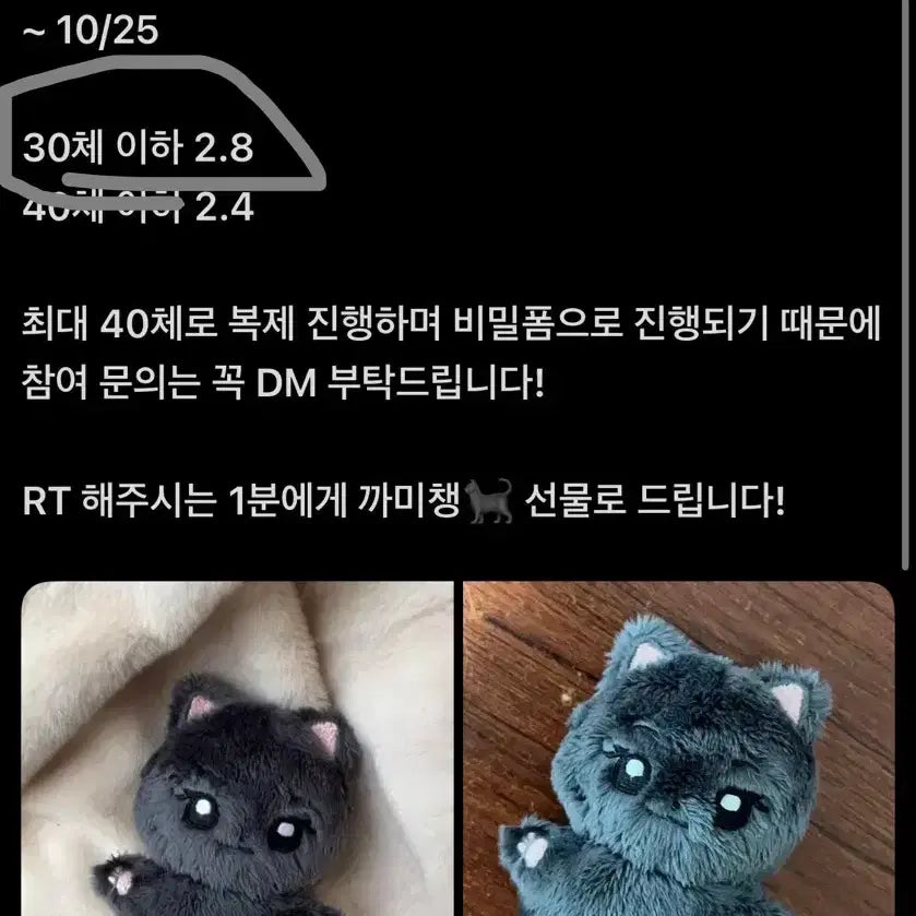 [BUNJANG] Fromis_9 Lee Chaeyoung Kkami Chaeng 10cm Doll / 원가 이하)프로미스나인 이채영 10cm인형 까미챙 양도