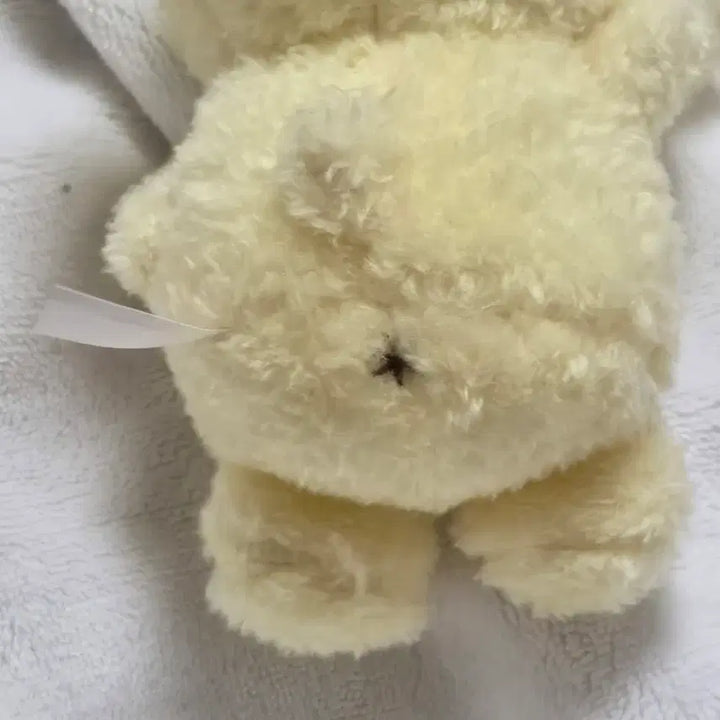 [BUNJANG] Pompompurin 30th Anniversary Birthday Doll / 30주년 폼폼푸린 생일인형