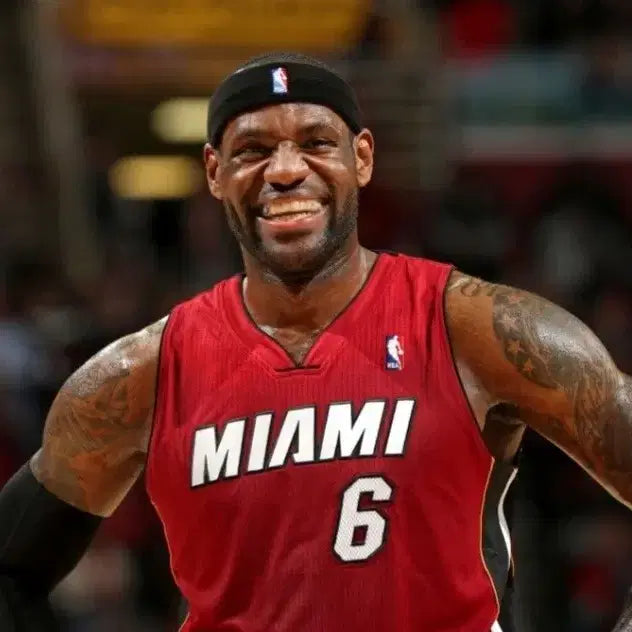 [BUNJANG] Hot Toys x Enterbay x Artist Lebron James 1/6 Scale Action Figure / 새상품) 르브론 제임스 1/6 피규어 (핫토이X엔터베이X작가작)