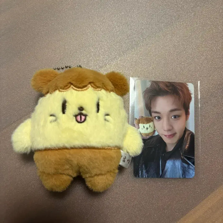 [BUNJANG] Park Jihoon Bbboomi Doll / 박지훈 인형 뿌움이 양도 포카O