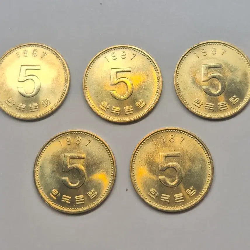 [BUNJANG] 1987 5 Won Coin Collection (5 pieces) / 1987년 5원 동전 5개 일괄