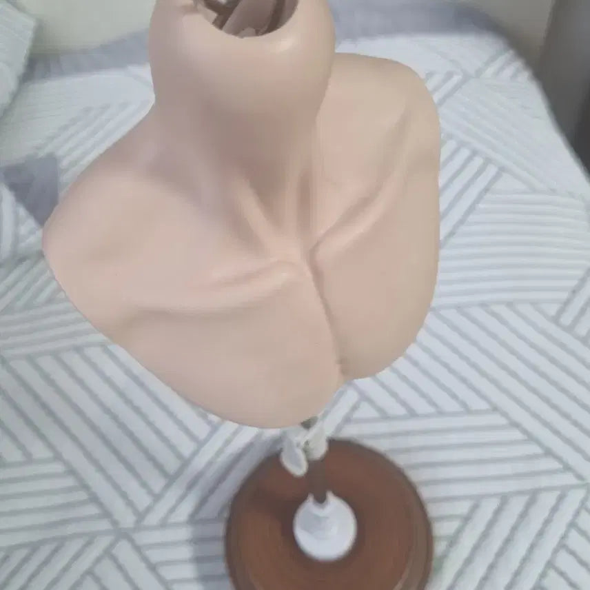 [BUNJANG] BJD Torso Tan Skin (75-78cm) Male Chinese Doll / 구체관절인형 BJD 구관 75~78급 중국샵 남아 탠 스킨 토르소