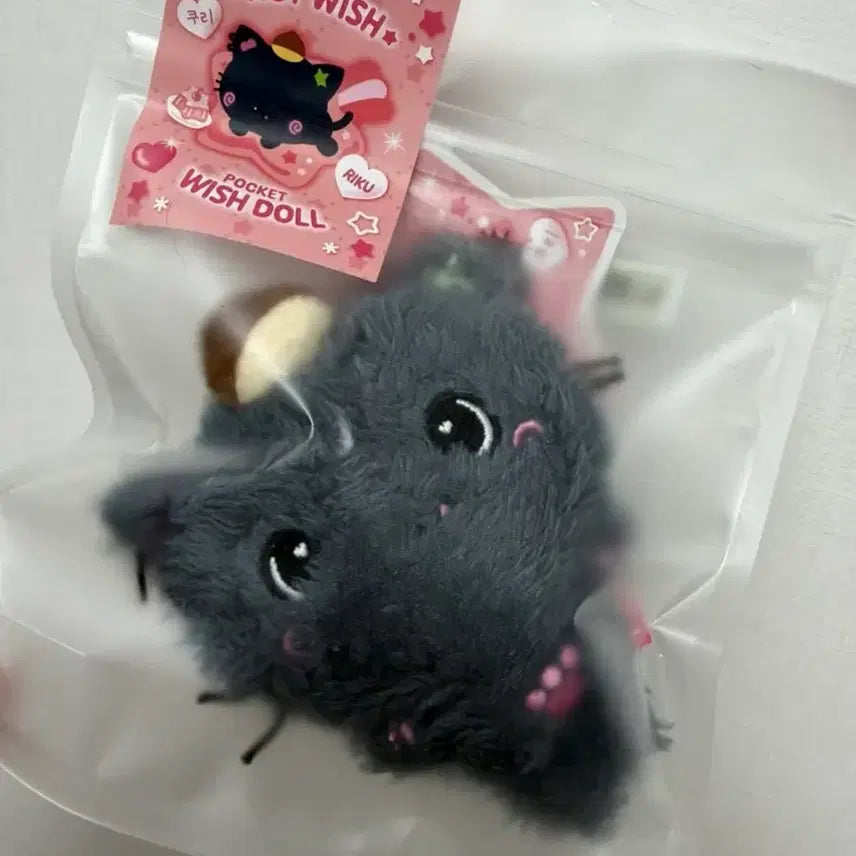 [BUNJANG] Pocket Wishdoll Kuri / 포켓위시돌 쿠리