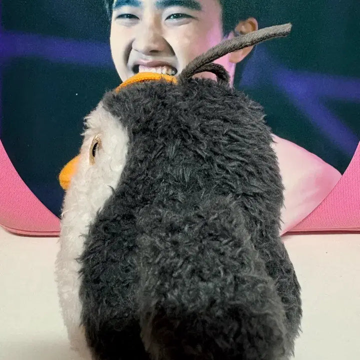 [BUNJANG] EXO D.O. Kyungsoo Doll Jjirengi Keyring / 10일만 판매 엑소 디오 도경수 인형 찌랭이 키링 - 외출 및 목욕 X