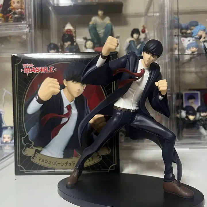 [BUNJANG] Taito Mashle Mash Figure / 타이토 마슐 마슈피규어(최저가)