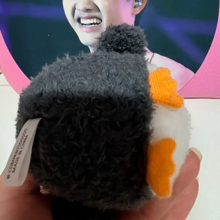 [BUNJANG] EXO D.O. Do Kyungsoo Jjirengyi Keyring / 10일만 판매 엑소 디오 도경수 인형 찌랭이 키링 - 외출 및 목욕 X