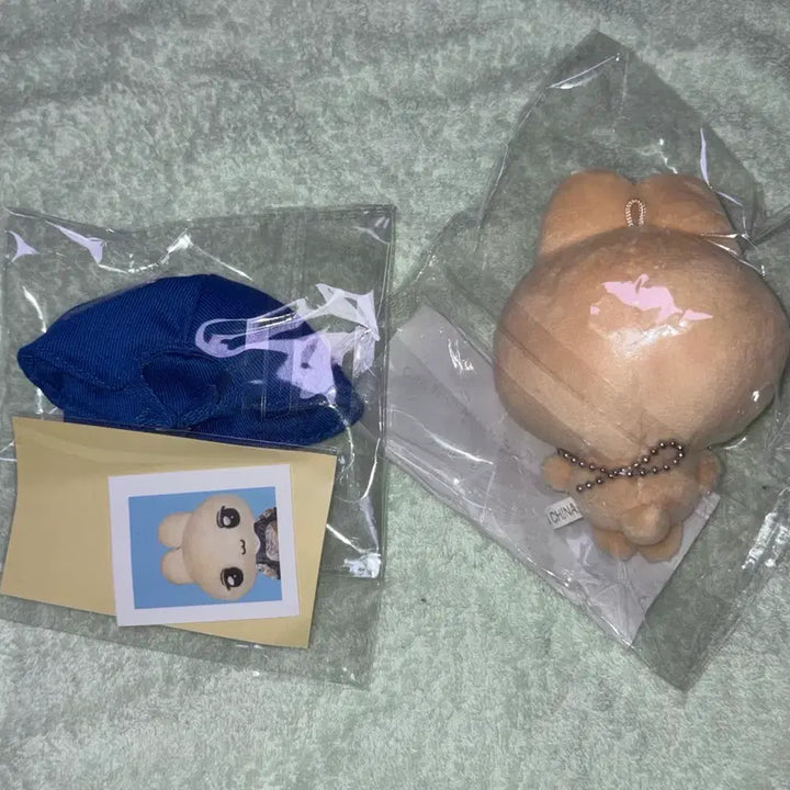 [BUNJANG] Park Ji Hoon Wingtto Doll (Hat Included) / 박지훈 인형 윙또 양도합니다 (모자 포함)