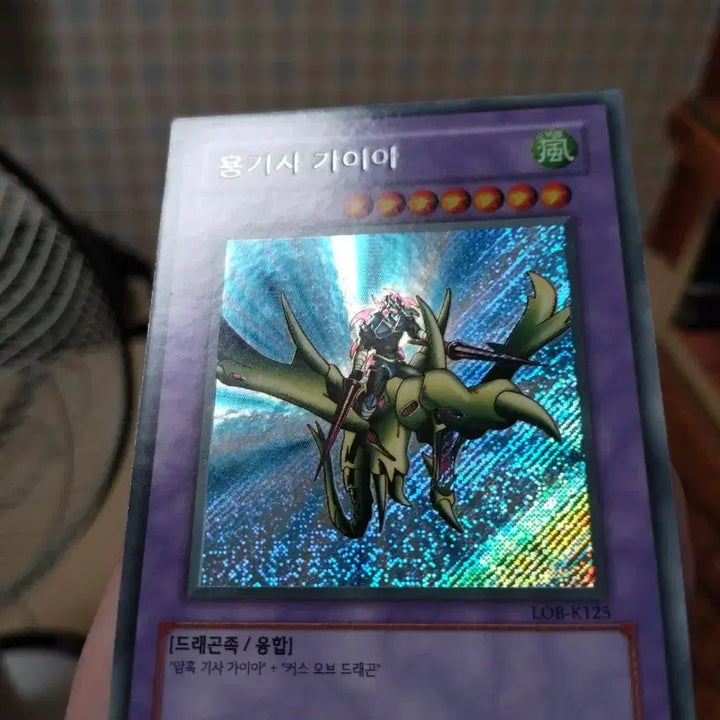 [BUNJANG] Yu-Gi-Oh! Dark Cavalry Gaia Secret Rare / 유희왕 용기사 가이아 S급 사선시크