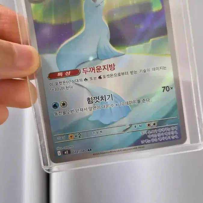 [BUNJANG] Pucrin Juragon AR Bundle Set / 푸크린, 쥬래곤 ar 일괄