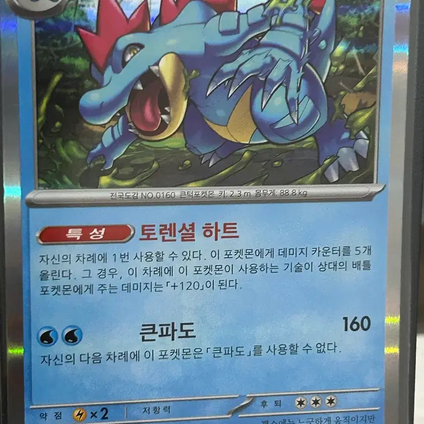 [BUNJANG] Feraligatr R Pokemon Card / 장크로다일 R 포켓몬 카드