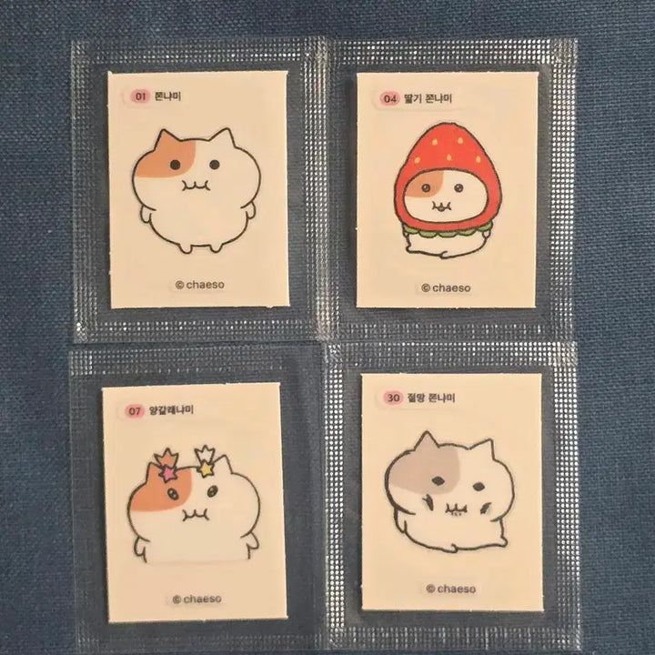 [BUNJANG] Jjonnyami Tteobusal Sticker Collection / 쫀냐미 띠부씰 교환/판매 (교환 시 짱구 띠부씰 증정)