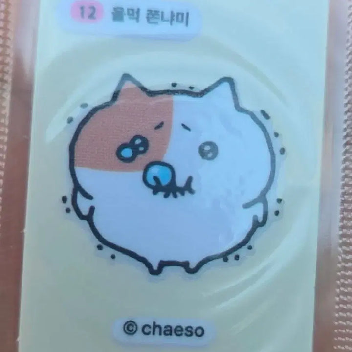 [BUNJANG] Jjonnyami Tteobusal Sticker Collection / 쫀냐미 띠부씰 교환 (안경냐미, 쫀냐미, 쫀냐미랑 연탄이)