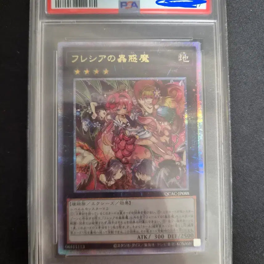 [BUNJANG] Yu-Gi-Oh! Traptrix Puzzlomino Quarter Century Secret Rare PSA 9 / 유희왕 플레시아의 충혹마 쿼시크 psa 9