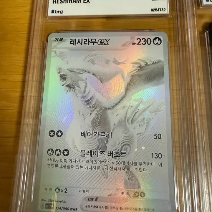[BUNJANG] BW Reshiram, Zekrom Bundle Set Graded Cards / 포켓몬카드 Brg10 한판 bwr 레시라무, 제크로무 일괄 등급카드