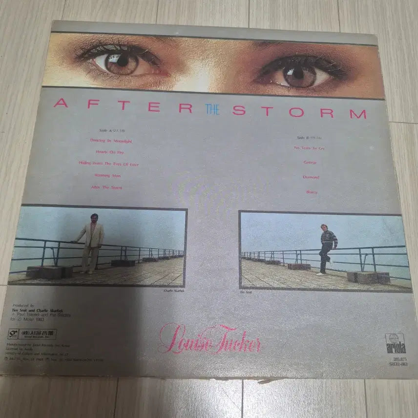 [BUNJANG] Lewis Tucker After the Storm LP / LP 루이스 터커 애프터 더 스톰