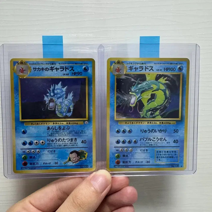 [BUNJANG] Pokemon Card Gyarados &amp; Magikarp Bundle / 포켓몬카드 초판 갸라도스 구뒷면 외 잉어킹 등 일괄