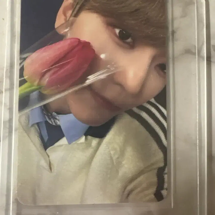 [BUNJANG] ALDI1 Chenlong Makestar Chongching Fansign Event Tulip Photocard / 알디원 씬롱 메이크스타 충칭 팬사인회 특전 튤립 포카