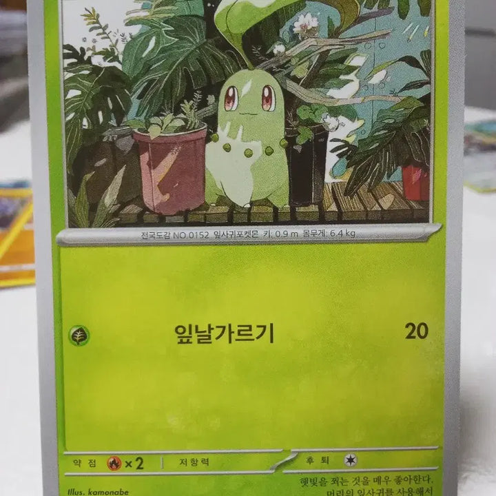 [BUNJANG] Pokemon Card Chikorita M1S 003/063 C / 포켓몬카드 치코리타 m1S 003/063 C