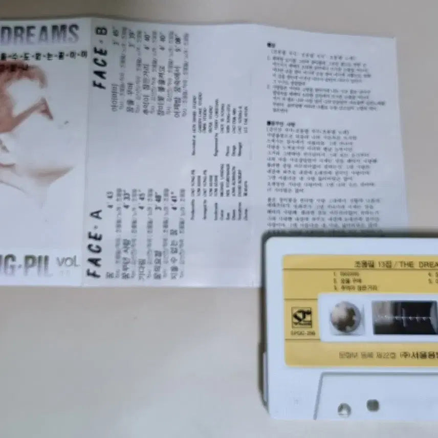 [BUNJANG] Cho Yong Pil 13th Album &