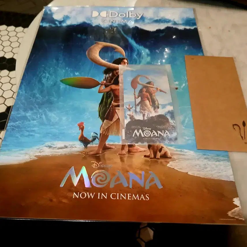 [BUNJANG] Disney Moana Special Edition Poster Set (3 Types) / (3종셋)디즈니 모아나 특전 오티 TTT 돌비 포스터