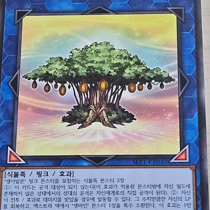 [BUNJANG] Yu-Gi-Oh! Card - Dryades / 유희왕카드 생아발론 드리아데스
