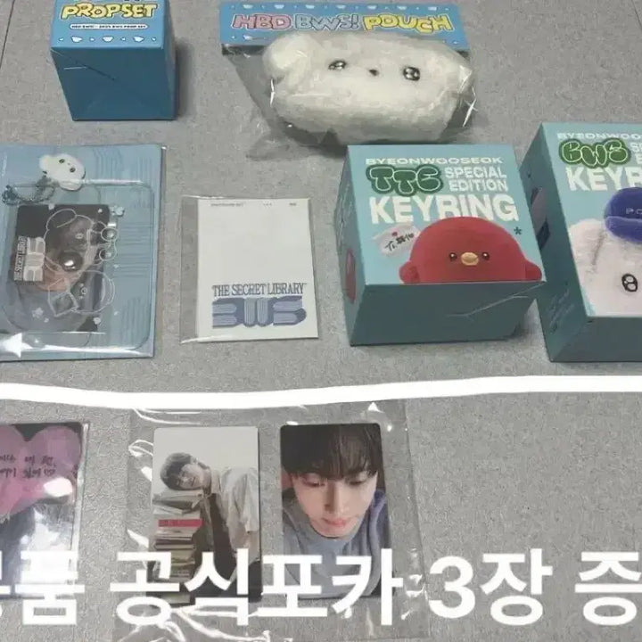 [BUNJANG] Byeon Woo Seok Fan Meeting Goods Photocard Holder and Photocard Set Bundle / 변우석인형 변우서키링 변우석포카 변우석팬미팅 변우석팬미팅굿즈 변우석굿즈 변우석