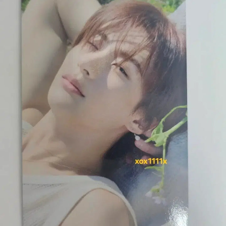 [BUNJANG] RIIZE Anton DYD Japan Album Photocard HMV Loppi Limited / 라이즈 앤톤 찬영 일본 DYD 앨범 포카 HMV loppi 에쳄비 한정