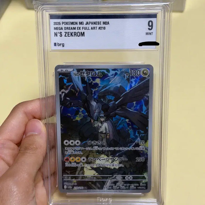 [BUNJANG] Pokemon Card N&