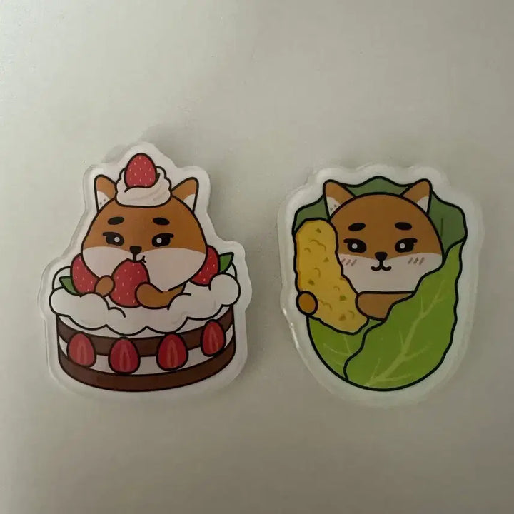 [BUNJANG] Day6 Magnet Set (Daejeon, Gwangju, Busan) Bundle Set / 데이식스 마그넷 대전,광주,부산 케 3종 일괄