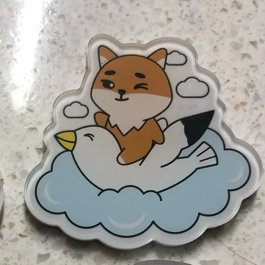 [BUNJANG] Day6 Magnet Set (Daejeon, Gwangju, Busan) Bundle Set / 데이식스 마그넷 대전,광주,부산 케 3종 일괄