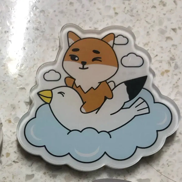 [BUNJANG] Day6 Magnet Set (Daejeon, Gwangju, Busan) Bundle Set / 데이식스 마그넷 대전,광주,부산 케 3종 일괄