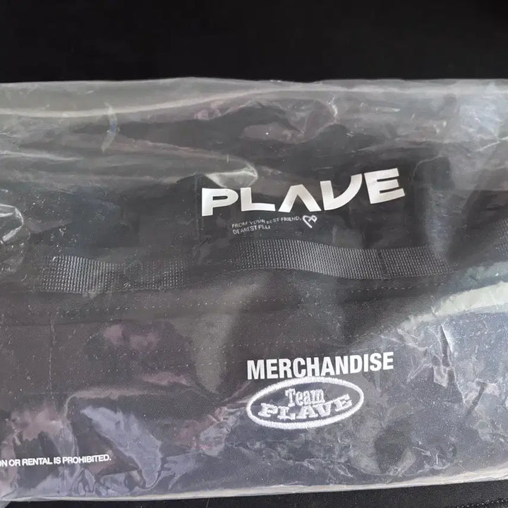 [BUNJANG] PLAVE Lightstick Bag with Photocard / 플레이브 응원봉가방 포카포함 PLAVE LIGHT STIC BAG