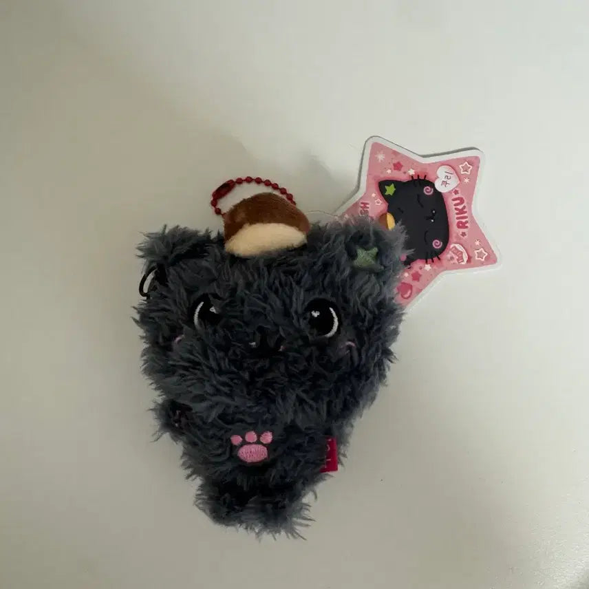 [BUNJANG] Pocket Wish Doll Kuri Unsealed / 포켓위시돌 쿠리 단순개봉